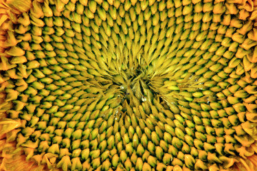 Similar image 10499182