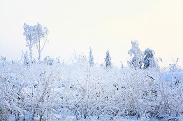 Similar image 10499184