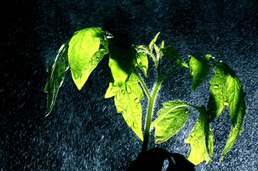 Similar image 10499185