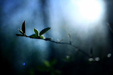 Similar image 10499189