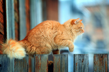 Similar image 10499192