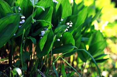 Similar image 10499193