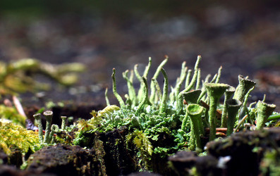 Similar image 10499196