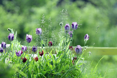 Similar image 10499199