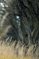 Similar image 10499201