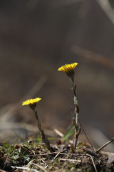 Similar image 10499202