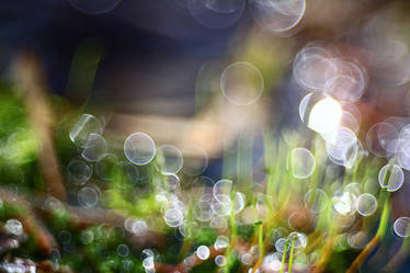 Similar image 10499206