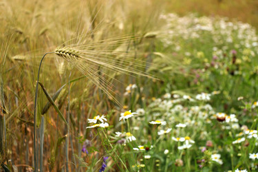 Similar image 10499217