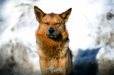 Similar image 10499222