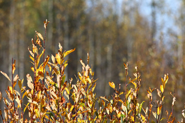 Similar image 10499226