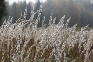 Similar image 10499229