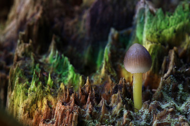 Similar image 10499231