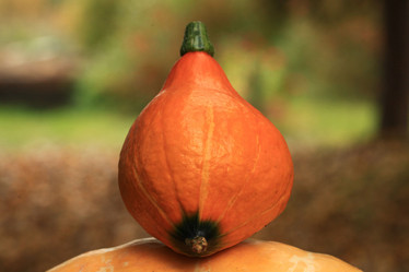 Similar image 10499232