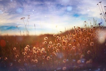 Similar image 10499233