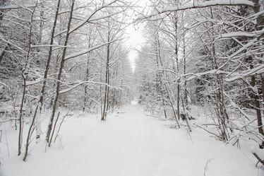 Similar image 10499234