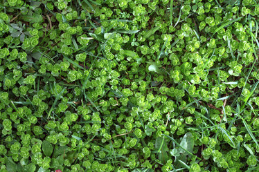 Similar image 10499236