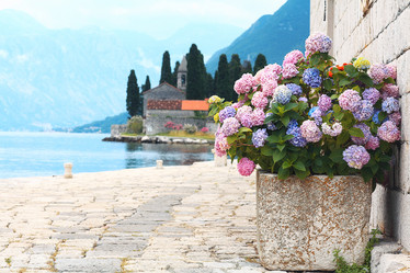 Similar image 10499240