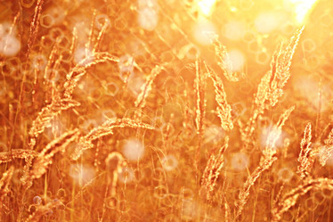 Similar image 10499241