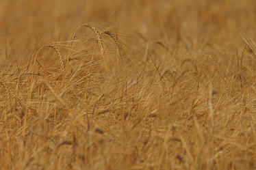 Similar image 10499243