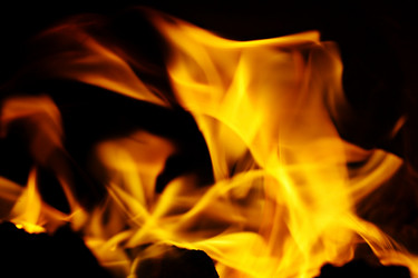 Similar image 10499244