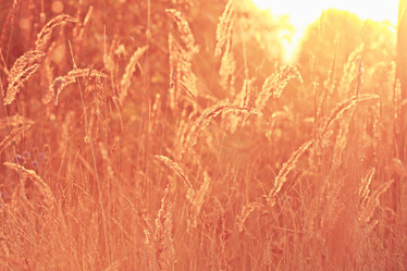 Similar image 10499245