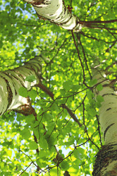 Similar image 10499246