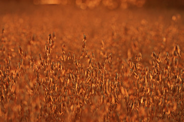 Similar image 10499247