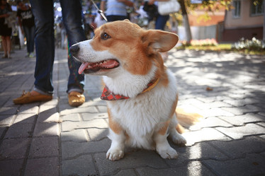 Similar image 10499260