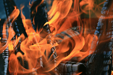 Similar image 10499262