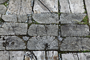 Similar image 10499264