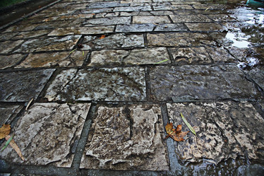 Similar image 10499269