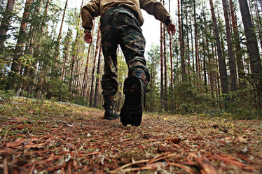 Similar image 10499270