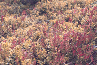 Similar image 10499278