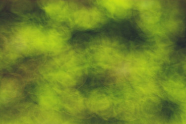 Similar image 10499282