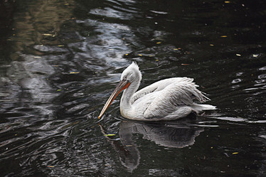 Similar image 10499286