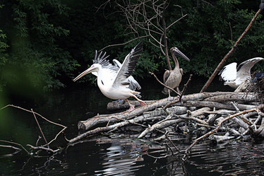 Similar image 10499289