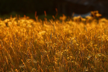 Similar image 10499299