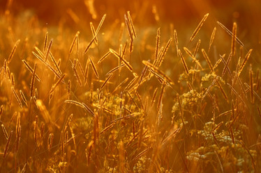 Similar image 10499300