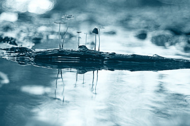 Similar image 10499302