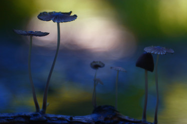 Similar image 10499303