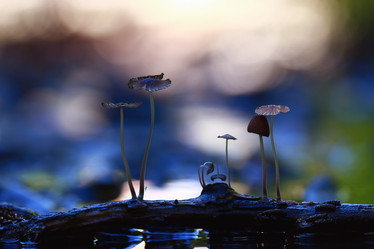 Similar image 10499304