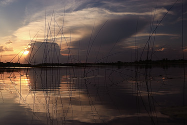 Similar image 10499308