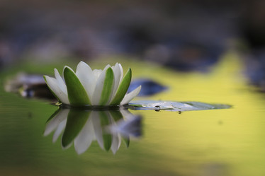 Similar image 10499310