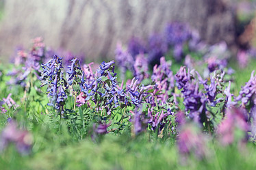 Similar image 10499314