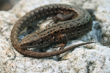 Similar image 10499315