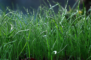 Similar image 10499316