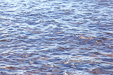 Similar image 10499323