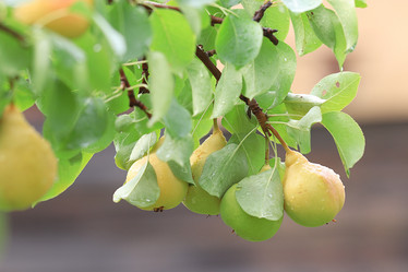 Similar image 10499327