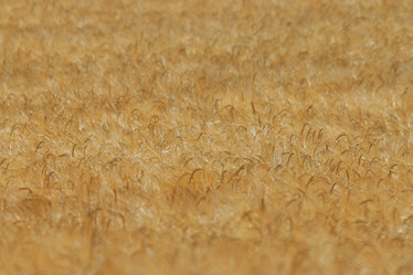 Similar image 10499328