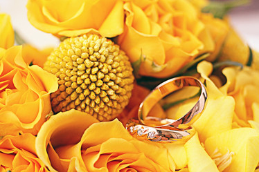 Similar image 10499334